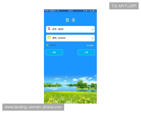多样化金沙手机版登录线路选择，满足不同玩家个性化登录需求的实用指南