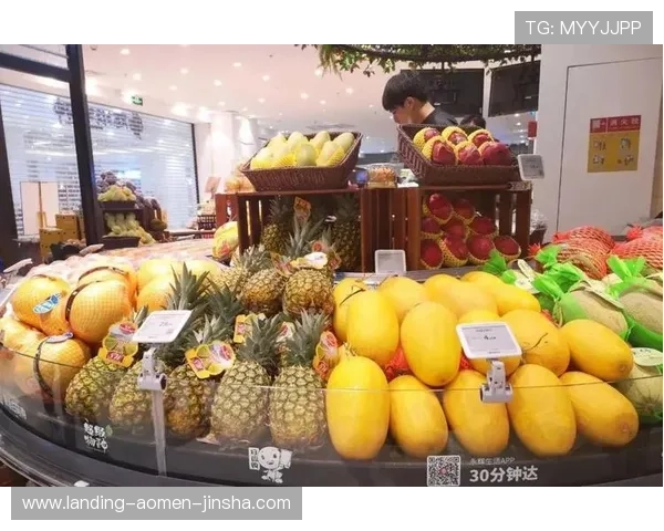 安全稳定的金沙优惠登录线路，助你轻松享受多样化的线上娱乐优惠福利