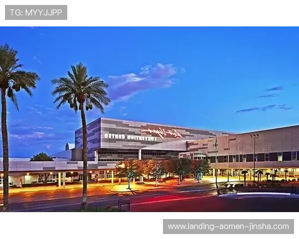 美国拉斯维加斯金沙公司提供的高端娱乐服务与特色体验项目全方位解读