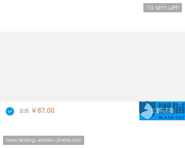 金沙旗舰网站评价指南，提供详细的游戏体验、支付安全与客户服务评测