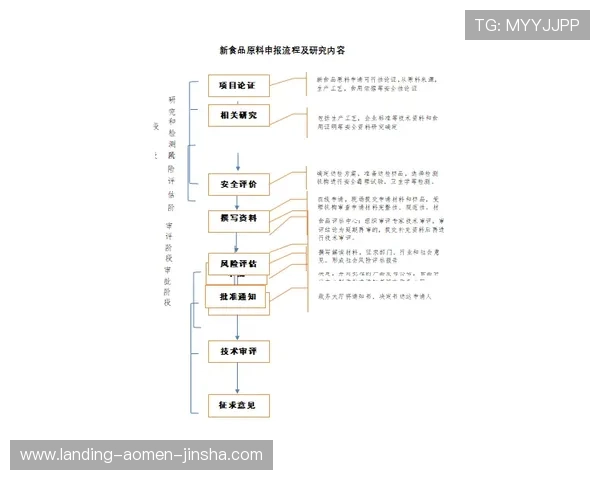 原金沙城中心首页登录流程详细步骤解析确保新手玩家也能快速顺利登录平台