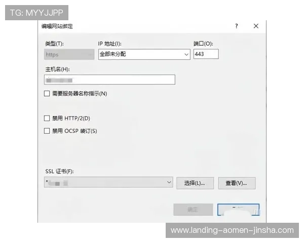 金沙城娱乐官方网站查询入口官方地址更新及访问方法全攻略