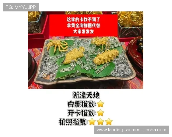 澳门新濠多个场子有哪些，全面解析每个场所的娱乐项目和服务内容